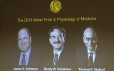 3 nhà khoa học Mỹ, Đức chia nhau giải Nobel y khoa 2013