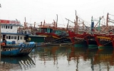 Đà Nẵng sơ tán 55.000 dân trước khi bão số 11 vào