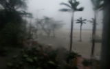 Bão số 11 đổ bộ Đà Nẵng, gió giật đổ nhiều cây cối, nhà cửa
