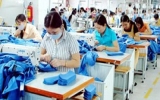 Promising trade cooperation between Vietnam and Germany