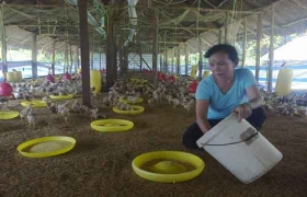 Vượt qua nghịch cảnh, làm chủ cuộc sống