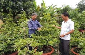 Nông dân xã Thạnh Phước (Tân Uyên): Vươn lên từ cách làm hay
