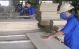 Ngành chế biến gỗ: Giải pháp nào để tăng năng lực cạnh tranh?
