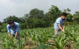 Binh Duong  Junior College of Agriculture and Forestry’s vocational training is always associated with employment