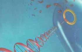 New gene therapy could reverse heart failure in pigs: study