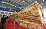 Tác phẩm điêu khắc trên gỗ dài nhất thế giới