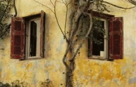 Ngóng cháu