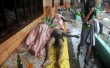 Philippines công bố số liệu mới nhất về thiệt hại bão Haiyan