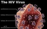Cảnh báo có chủng virus HIV mạnh hơn
