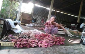 Vươn lên trong gian khó