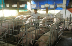 Làm giàu trên vùng đất mới