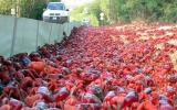 Australia’s sea of crimson claws