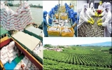 Xuất khẩu của Việt Nam sẽ tăng 20% năm 2014?