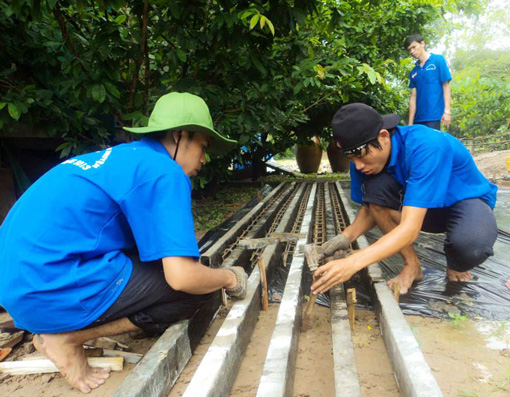 Tạo bước đột phá trong Năm Thanh niên tình nguyện 2014