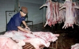 Thị trường Tết: Không lo thiếu các sản phẩm thịt