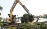 Biwase vớt 220 tấn lục bình trên sông Sài Gòn