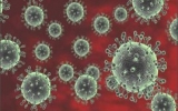 Trường hợp đầu tiên tử vong do cúm A/H5N1 ở Việt Nam