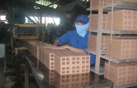 M&C Bình Dương: Những thành tích ấn tượng