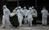 Trung Quốc xác nhận thêm 11 ca nhiễm virus cúm H7N9