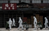 Virus H7N9 có nguy cơ lan ra ngoài biên giới Trung Quốc