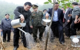 Chủ tịch nước phát động Tết trồng cây Xuân Giáp Ngọ 2014