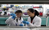 Phát triển thành công chuỗi virus H7N9 cho sản xuất vắcxin