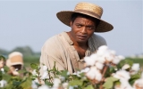 '12 Years A Slave' đoạt giải Satellite