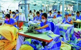 Soft skills a must for Vietnamese workers