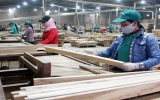 Khai mạc Hội chợ quốc tế đồ gỗ xuất khẩu Việt Nam