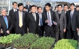 President Sang visits Ibaraki prefecture