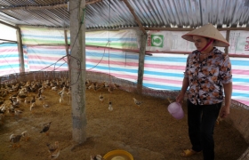 Nữ cựu chiến binh vượt khó thoát nghèo