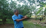 Xã Bạch Đằng (Tân Uyên):   Giữ vững các tiêu chí nông thôn mới