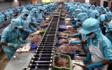 “Việt Nam bước vào năm thứ ba ổn định kinh tế vĩ mô”