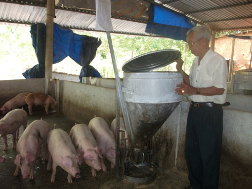 Cựu chiến binh làm giàu từ chăn nuôi