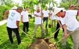 HCM City to spend over $2 million to plant trees