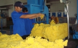 11 enterprises of Binh Duong short-listed for the 2013 award for prestigious exporters