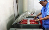 Bussiness start-up from Vietnamese sausage