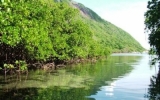 Con Dao National Park recognised as Ramsar site