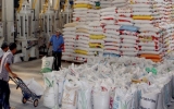 Healthy jump in exports to Egypt points to recovery