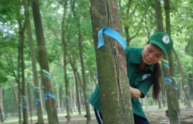 Học Bác để hoàn thiện bản thân