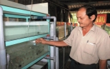 Trung tâm khuyến nông Bình Dương: Chuyển giao thành công mô hình nuôi cá dĩa cho nông dân