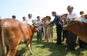 Sửa đổi chính sách về giảm nghèo