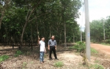 Xã Long Nguyên, Bàu Bàng:   Làm “dân vận khéo”  để xây dựng nông thôn mới