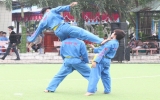 Vovinam movement developed from amateurs in Thuan An Town