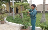 Trường Trung cấp nghề Dĩ An: Khai giảng lớp đào tạo dáng và chăm sóc cây cảnh