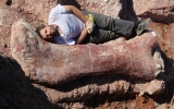 'Biggest dinosaur ever' discovered