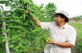 Học Bác để phục vụ dân tốt hơn