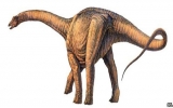 Phát hiện hóa thạch loài khủng long lớn nhất từ trước tới nay