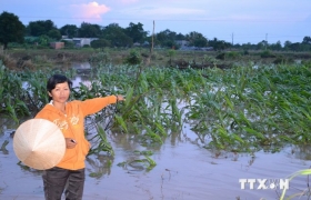 Bồi thường cho người dân bị ảnh hưởng bởi thủy điện Sêrêpốk 4A