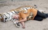 Cặp vợ chồng sống chung cùng đôi hổ Bengal nặng gần 300 kg